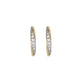 Twist Pave and Gold Hoops