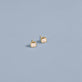 Stone and Strand 14K Yellow Gold 1-CTW Lab-Created Asscher Studs Editorial Image