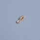 Stone and Strand 14K Yellow Gold Ambroeus Diamond Charm Editorial Image