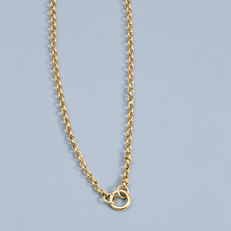 Stone and Strand 14K Yellow Gold Classic Rolo Charm Connector Necklace Editorial Image
