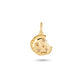 Stone and Strand 14K Yellow Gold Diamond Cookie Charm Front Image
