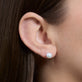 Image of 14K Yellow Gold Essential Gold Pearl Studs on Models Ear