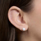 Image of Sterling Silver Essential Silver Pearl Studs on Models Ear