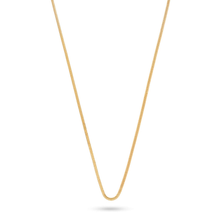 Stone and Strand 14K Yellow Gold Flat Arrow Chain Necklace Image