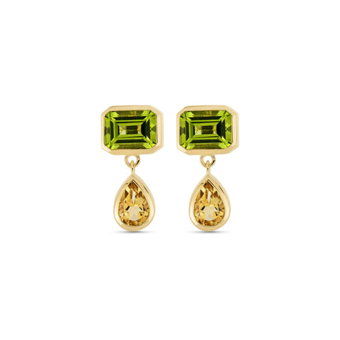 Stone and Strand 14K Yellow Gold Full Volume Pellicano Spritz Drop Earrings Front Image