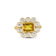 Stone and Strand 14K Yellow Gold Full Volume Pellicano Spritz Vintage Ring Front Image