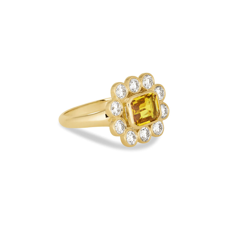 Stone and Strand 14K Yellow Gold Full Volume Pellicano Spritz Vintage Ring Side Image