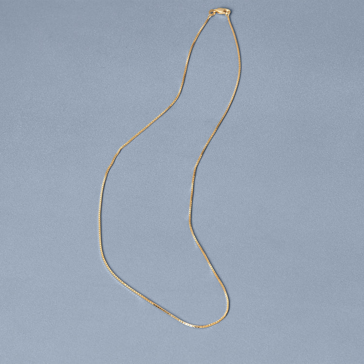Stone and Strand 10K Yellow Gold Gold Diamond Cut Box Chain Editorial Image