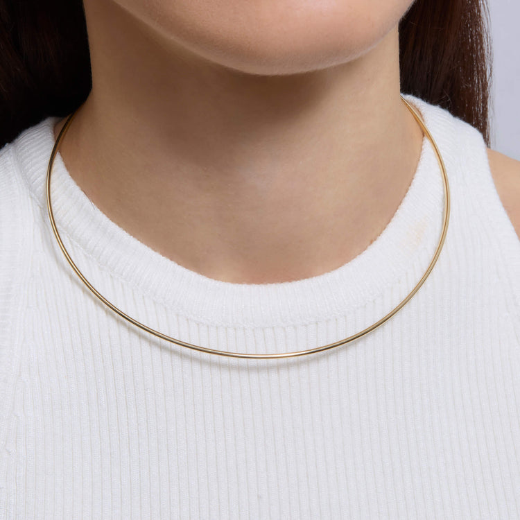 Image of 14K Yellow Gold Diana Collar Necklace on Models Neck