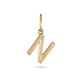 Gold Initial N Charm