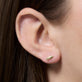 Image of 14K Yellow Gold Gone FIshing Studs on Models Ear