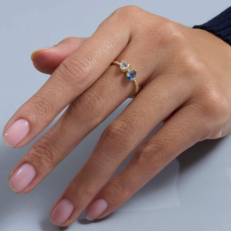 Image of 10K Yellow Gold Just the Two of Us Le Bleu Ring on Models Hand