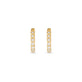 Stone and Strand 10K Yellow Gold Lab-Created Diamond La Scala Hoops Front Image