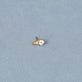 Stone and Strand 14K Yellow Gold LAB-Created To The Second Hole Flat Back Piercing Earring Editorial Image