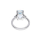 Stone and Strand 14K White Gold Le Bleu Aquamarine Diana Ring Rear Image