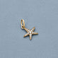 Stone and Strand 14K Yellow Gold LAB-Created Diamond Starfish Charm Editorial Image