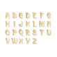 Stone and Strand 14K Yellow Gold Marais Gold Initial Stud Initials Image