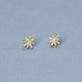 Stone and Strand 10K Yellow Gold Mini Pave Northern Star Studs Editorial Image