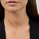 Image of 14K Yellow Gold Mini Pawprint Welding Choker on Models Neck