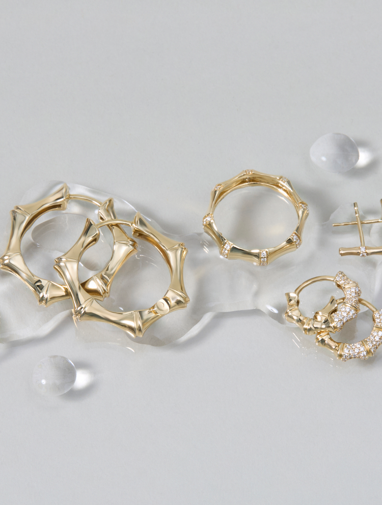 Our Newest Collection