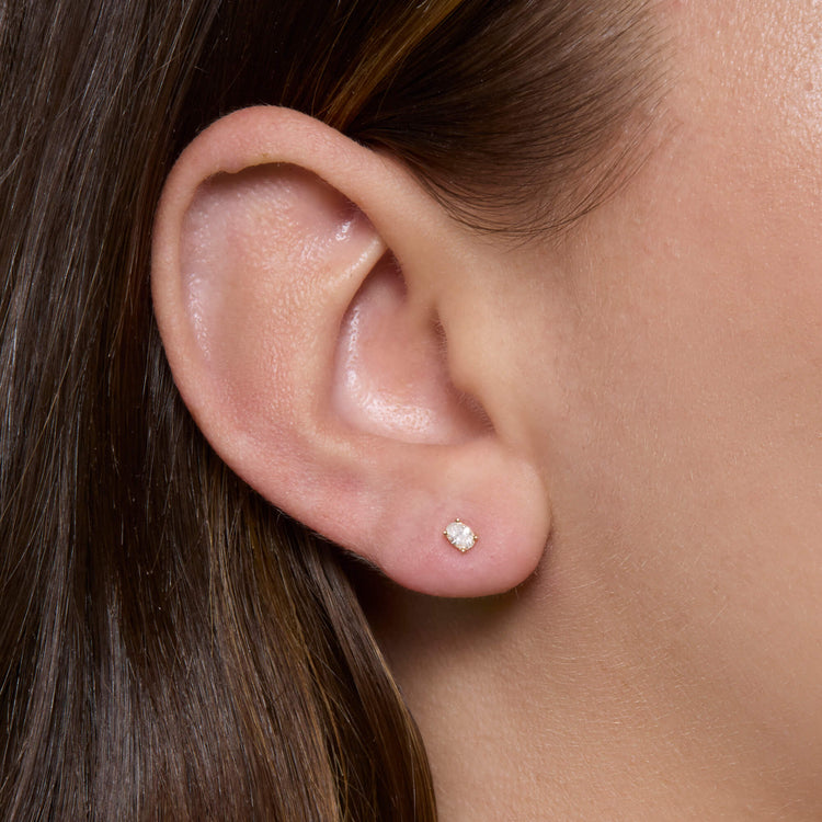 Image of 14K Yellow Gold Oval Treasure Stud on Models Ear