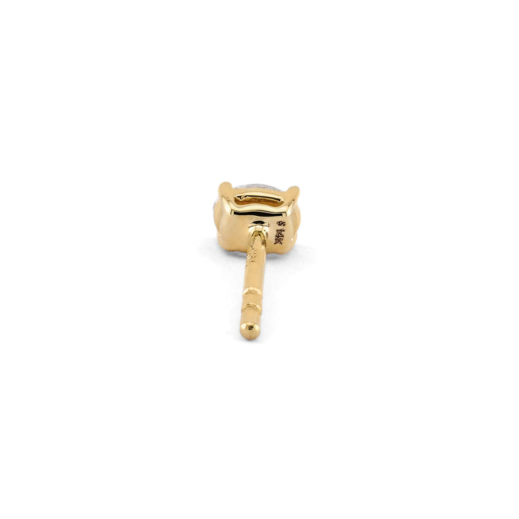 Stone and Strand 14K Yellow Gold Oval Treasure Stud Rear Image
