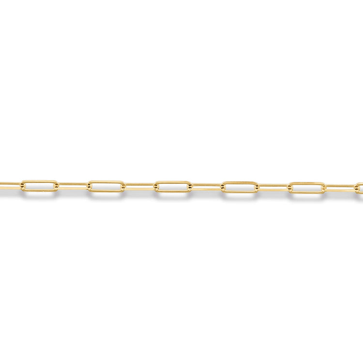 Stone and Strand 14K Yellow Gold Paperclip Anklet Close Up Image