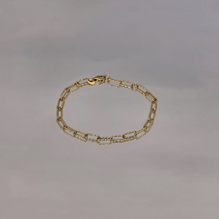 Stone and Strand 10K Yellow Gold Paperclip Sparkle Chain Bracelet Editorial Image