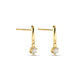 Stone and Strand 14K Yellow Gold Pastis Diamond Drop Earrings Side Image