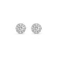 Stone and Strand 14K Yellow Gold Pave Diamond Halo Circle Studs  Front Image