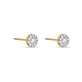Stone and Strand 14K Yellow Gold Pave Diamond Halo Circle Studs Side Image