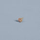 Stone and Strand 10K Yellow Gold Pink Sapphire and Diamond Flower Stud Editorial Image