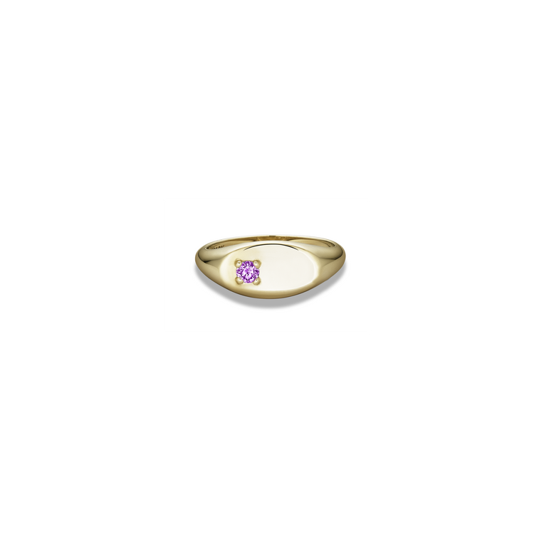 Stone and Strand 10K Yellow Gold Personalized Birthstone Signet Ring with Amethyst Front Image