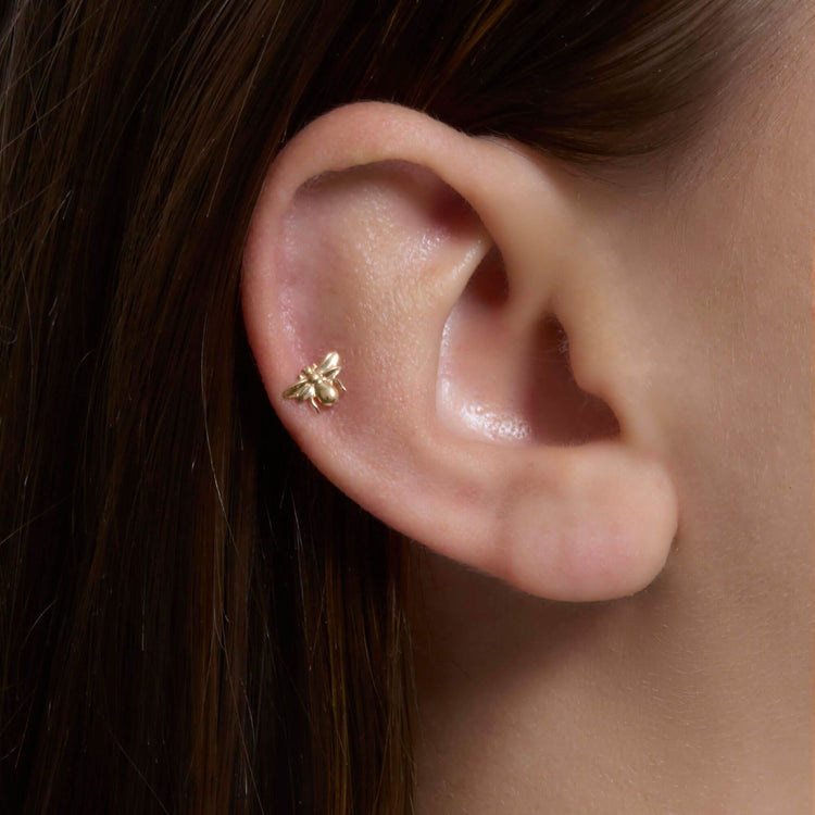 Image of 14K Yellow Gold Queen Bee Push Pin Flat Back on Models Ear