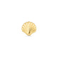 Stone and Strand 14K Yellow Gold Scallop Shell Flat Back Piercing Earring Front Image