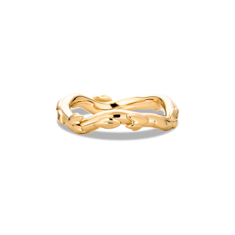 Stone and Strand 14K Yellow Gold Secret Garden Band Front Image