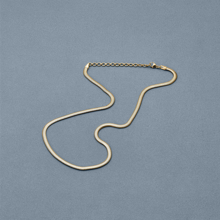 Stone and Strand 14K Yellow Gold Serpentine Necklace Editorial Image
