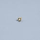 Stone and Strand 10K Yellow Gold Small Blue Sapphire and Diamond Flower Stud Editorial Image