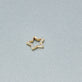 Stone and Strand 10K Yellow Gold Star Pop Lock Editorial Image
