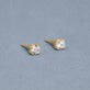 Stone and Strand 14K Yellow Gold The Essential Diamond Studs 0.60CTW Editorial Image