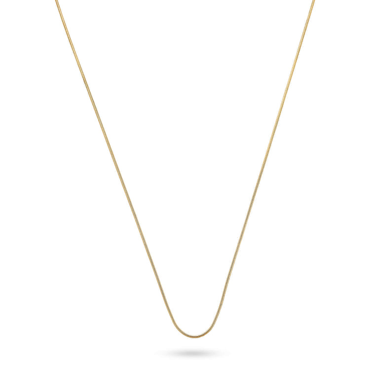 Stone and Strand 10K Yellow Gold Thin Snake Necklace Image