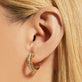 Image of 14K Yellow Gold Velvet Ropes Diamond Huggies on Models Ear