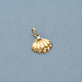 Stone and Strand 14K Yellow Gold Vintage Scallop Shell Charm Editorial Image