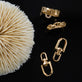 Still life image of Windlass Gold Earrings with Stone and Strand solid gold jewelry