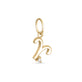 Zodiac Charm with Diamond