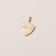 Ad Infinitum Shield Pendant