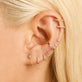 All Woman Earring