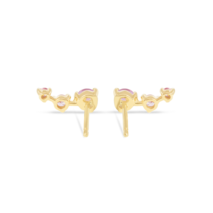 Stone and Strand 10K Yellow Gold Appleblossom Stud Earrings with Pink Sapphire and Pink Amethyst Rear Image