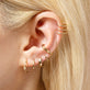 Bold Gold Huggie Earring