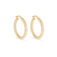Bold Sparkle Hoops